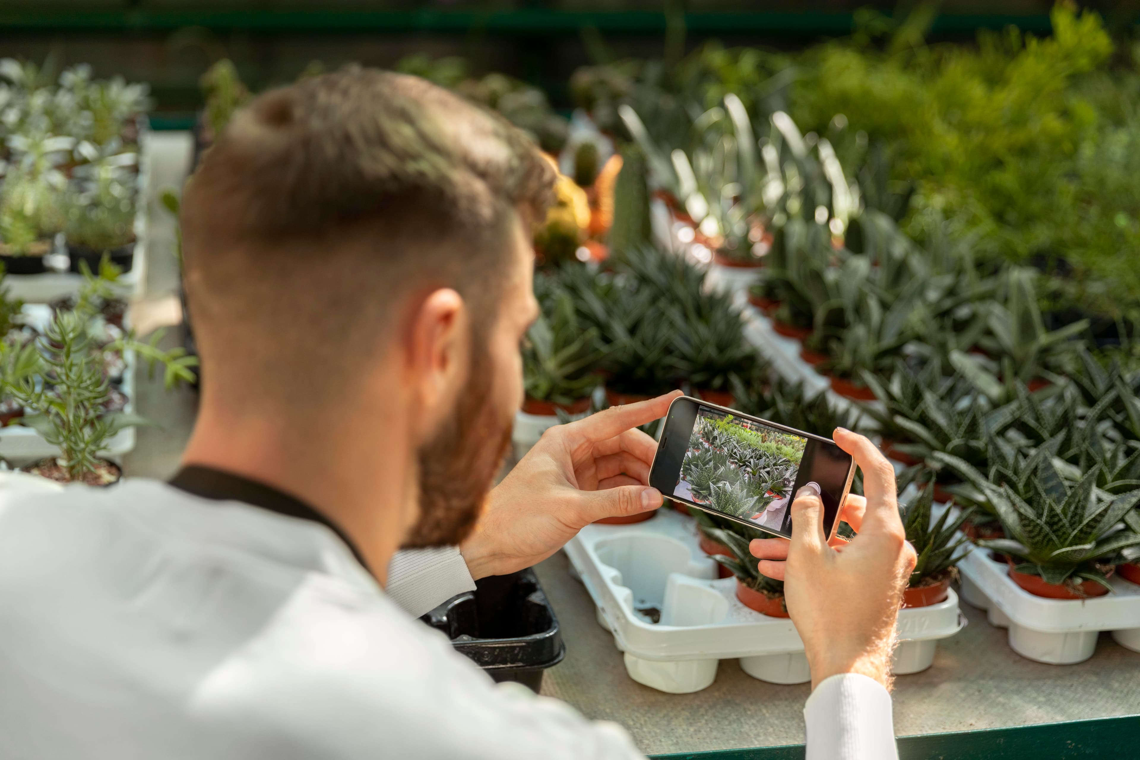 Tablet showing crop planning software interface in a greenhouse.