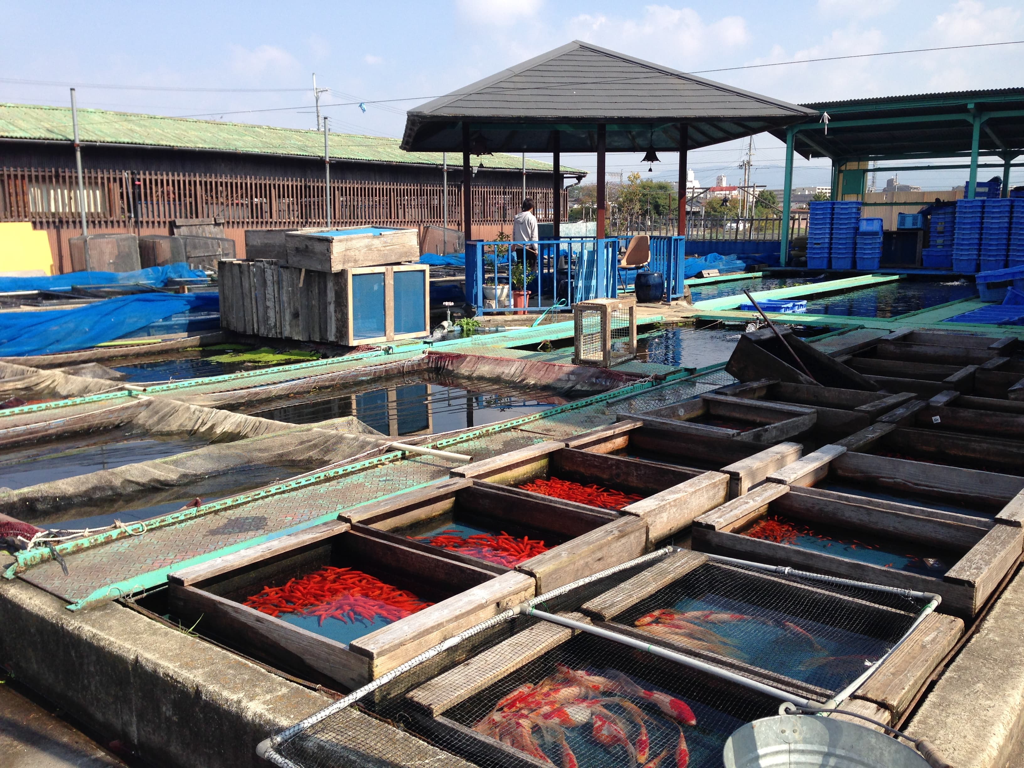 Underwater view of a fish farm with sensor data overlay.